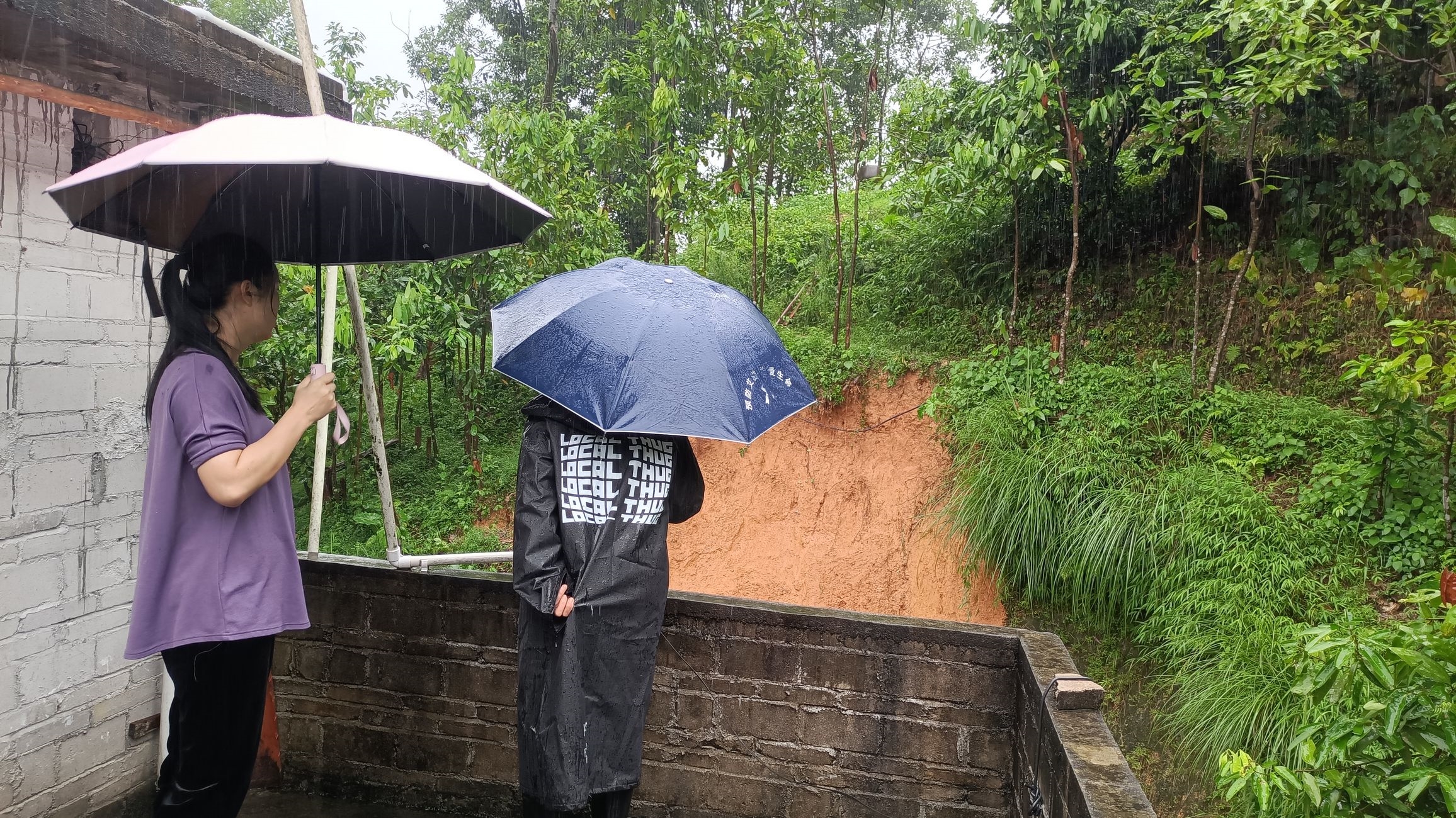 202309281626450043.jpg 202309281626450043.jpg